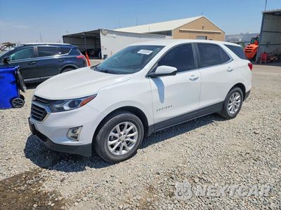 2021 CHEVROLET EQUINOX LT 3GNAXTEV1MS131515 - główne zdjęcie licytacji z USA - miniatura