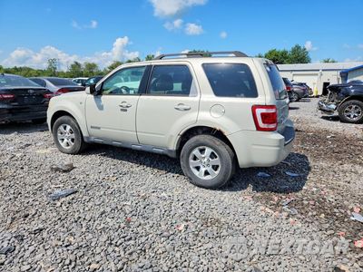 Drugie zdjęcie samochodu z przodu: 2008 FORD ESCAPE VIN:1FMCU94148KA94842 - miniatura