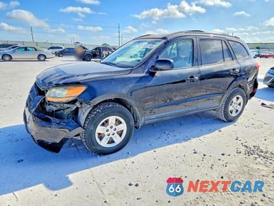 2009 HYUNDAI SANTA FE GLS 5NMSG13D19H250045 - główne zdjęcie licytacji z USA - miniatura