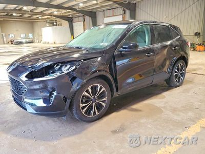 2022 FORD ESCAPE SE 1FMCU9G62NUA53441 - główne zdjęcie licytacji z USA - miniatura