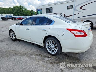 Drugie zdjęcie samochodu z przodu: 2010 NISSAN MAXIMA 3.5 S VIN:1N4AA5AP4AC855803 - miniatura