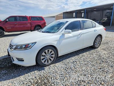 2013 HONDA ACCORD EXL 1HGCR2F84DA089262 - główne zdjęcie licytacji z USA - miniatura