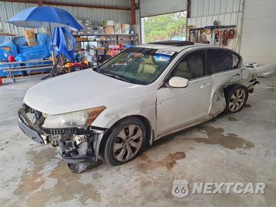 2008 HONDA ACCORD EXL 1HGCP26888A103028 - główne zdjęcie licytacji z USA - miniatura