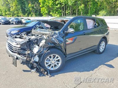 2021 CHEVROLET EQUINOX LS 2GNAXHEV7M6146306 - główne zdjęcie licytacji z USA - miniatura