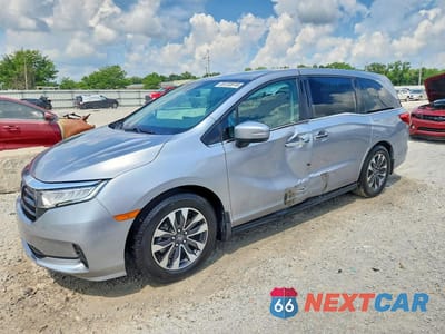 2024 HONDA ODYSSEY EXL 5FNRL6H60RB022959 - główne zdjęcie licytacji z USA - miniatura
