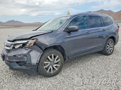 2019 HONDA PILOT EXL 5FNYF6H51KB048129 - główne zdjęcie licytacji z USA - miniatura