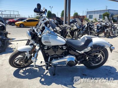 Trzecie zdjęcie samochodu z tyłu: 2021 HARLEY-DAVIDSON FLSB VIN:1HD1YMJ29MB030191 - miniatura