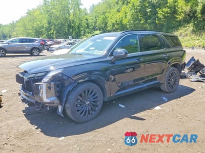 2025 HYUNDAI PALISADE CALLIGRAPHY NIGHT EDITION KM8R7DGE2SU925978 - główne zdjęcie licytacji z USA - miniatura
