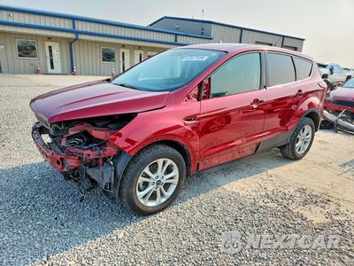 2019 FORD ESCAPE SE 1FMCU0GD3KUA03640 - główne zdjęcie licytacji z USA - miniatura