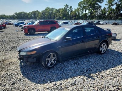 2004 ACURA TL 19UUA66284A045909 - główne zdjęcie licytacji z USA - miniatura