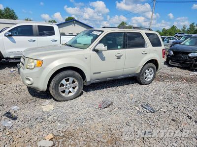2008 FORD ESCAPE 1FMCU94148KA94842 - główne zdjęcie licytacji z USA - miniatura