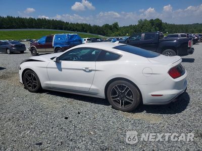 Drugie zdjęcie samochodu z przodu: 2022 FORD MUSTANG VIN:1FA6P8TH9N5100619 - miniatura