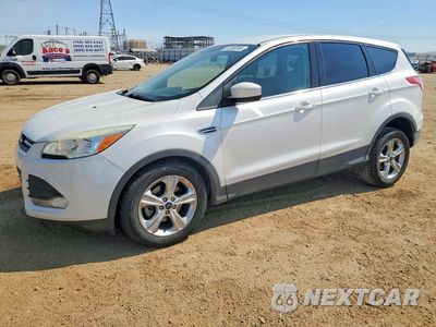 2014 FORD ESCAPE SE 1FMCU0GX7EUD66019 - główne zdjęcie licytacji z USA - miniatura