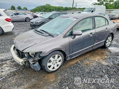2009 HONDA CIVIC LX 1HGFA16509L022299 - główne zdjęcie licytacji z USA - miniatura