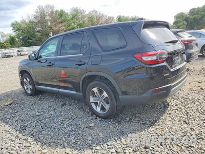 Drugie zdjęcie samochodu z przodu: 2023 HONDA PILOT EXL VIN:5FNYG1H4XPB058432 - miniatura