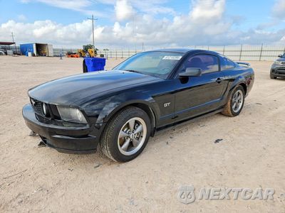 2006 FORD MUSTANG GT 1ZVFT82H565154165 - główne zdjęcie licytacji z USA - miniatura