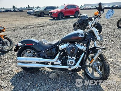 2023 HARLEY-DAVIDSON FXST 1HD1BVJ19PB021252 - główne zdjęcie licytacji z USA - miniatura