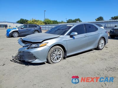 2020 TOYOTA CAMRY XLE 4T1F31AK0LU019941 - główne zdjęcie licytacji z USA - miniatura