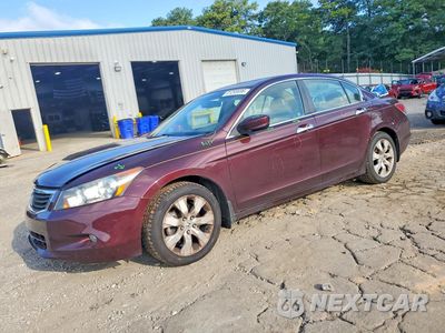 2010 HONDA ACCORD EXL 5KBCP3F85AB014715 - główne zdjęcie licytacji z USA - miniatura