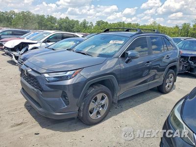 2025 TOYOTA RAV4 XLE 2T3W1RFV4SW403654 - główne zdjęcie licytacji z USA - miniatura