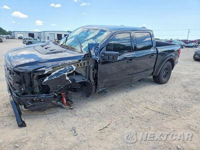 2025 FORD F150 RAPTOR 1FTFW1RG5SFC46038 - główne zdjęcie licytacji z USA - miniatura