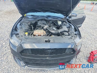 Zdjęcie 11 z 12 samochodu: 2017 FORD MUSTANG VIN:1FA6P8AM9H5276753 - miniatura