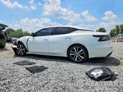 Drugie zdjęcie samochodu z przodu: 2021 NISSAN MAXIMA SV VIN:1N4AA6CV3MC515404 - miniatura