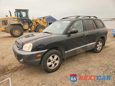 2005 HYUNDAI SANTA FE GLS KM8SC73D25U987803 - główne zdjęcie licytacji z USA - miniatura