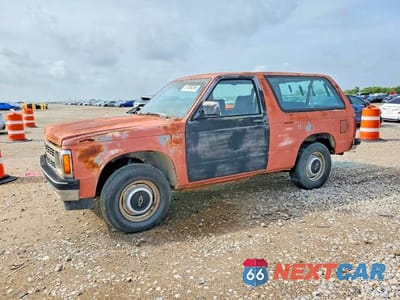 1991 CHEVROLET BLAZER S10 1GNCS18ZXM8265457 - główne zdjęcie licytacji z USA - miniatura