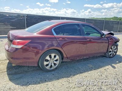 Trzecie zdjęcie samochodu z tyłu: 2010 HONDA ACCORD EXL VIN:1HGCP2F83AA071868 - miniatura