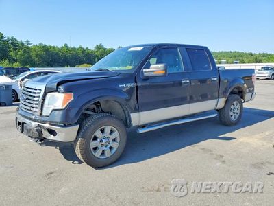 2012 FORD F150 SUPERCREW 1FTFW1EF6CKE14033 - główne zdjęcie licytacji z USA - miniatura