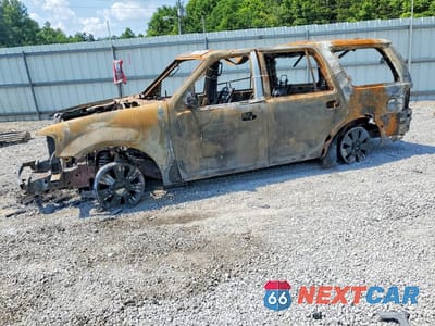 2010 LINCOLN NAVIGATOR 5LMJJ2J54AEJ05807 - główne zdjęcie licytacji z USA - miniatura