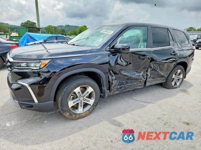 2024 HONDA PILOT EXL 5FNYG2H59RB003147 - główne zdjęcie licytacji z USA - miniatura