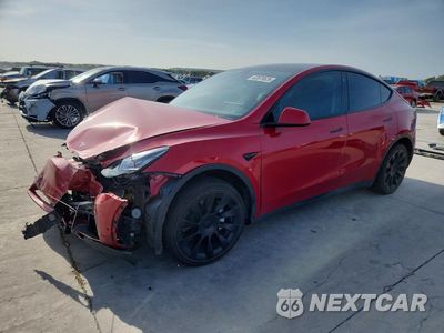 2021 TESLA MODEL Y 5YJYGDEE3MF294432 - główne zdjęcie licytacji z USA - miniatura