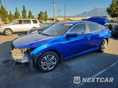 2017 HONDA CIVIC LX 2HGFC2F58HH556646 - główne zdjęcie licytacji z USA - miniatura