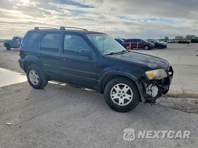 Czwarte zdjęcie samochodu z boku: 2007 FORD ESCAPE LIMITED VIN:1FMYU04137KA75313 - miniatura