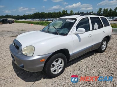 2004 HYUNDAI SANTA FE GLS KM8SC13D74U699528 - główne zdjęcie licytacji z USA - miniatura