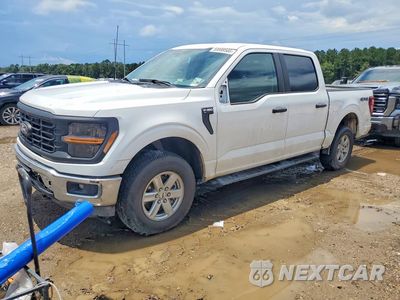 2024 FORD F150 XL 1FTFW1L55RKD66110 - główne zdjęcie licytacji z USA - miniatura