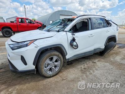 2024 TOYOTA RAV4 XLE 2T3W1RFV0RW306008 - główne zdjęcie licytacji z USA - miniatura