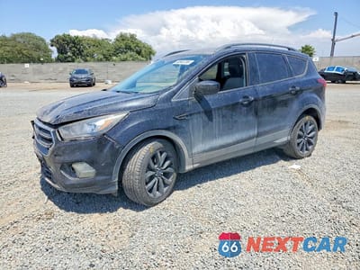 2019 FORD ESCAPE SE 1FMCU0GD4KUB62649 - główne zdjęcie licytacji z USA - miniatura