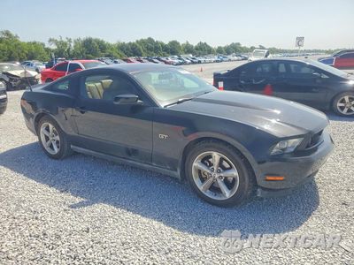 Czwarte zdjęcie samochodu z boku: 2010 FORD MUSTANG GT VIN:1ZVBP8CH7A5117791 - miniatura