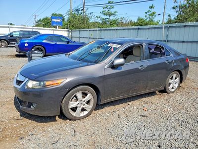 2009 ACURA TSX JH4CU26659C035331 - główne zdjęcie licytacji z USA - miniatura