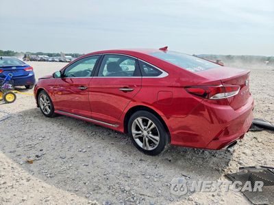 Drugie zdjęcie samochodu z przodu: 2019 HYUNDAI SONATA SPORT VIN:5NPE34AF2KH799776 - miniatura
