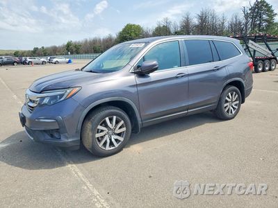 2019 HONDA PILOT EXL 5FNYF6H54KB037481 - główne zdjęcie licytacji z USA - miniatura