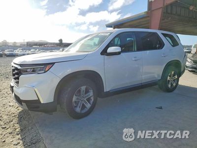 2025 HONDA PILOT EXL 5FNYG1H44SB099146 - główne zdjęcie licytacji z USA - miniatura