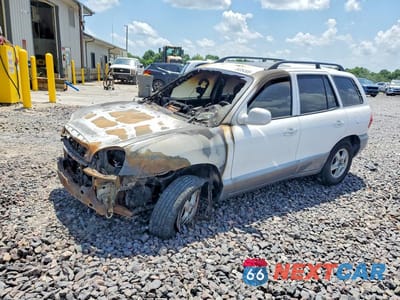 2003 HYUNDAI SANTA FE GLS KM8SC73E53U558984 - główne zdjęcie licytacji z USA - miniatura