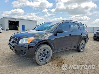 2011 TOYOTA RAV4 BASE 2T3BF4DV8BW140557 - główne zdjęcie licytacji z USA - miniatura