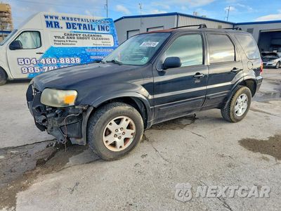 2007 FORD ESCAPE LIMITED 1FMYU04137KA75313 - główne zdjęcie licytacji z USA - miniatura
