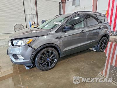 2019 FORD ESCAPE SE 1FMCU9GD6KUB36896 - główne zdjęcie licytacji z USA - miniatura