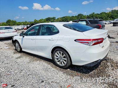 Drugie zdjęcie samochodu z przodu: 2019 TOYOTA CAMRY LE VIN:4T1B11HK4KU754043 - miniatura